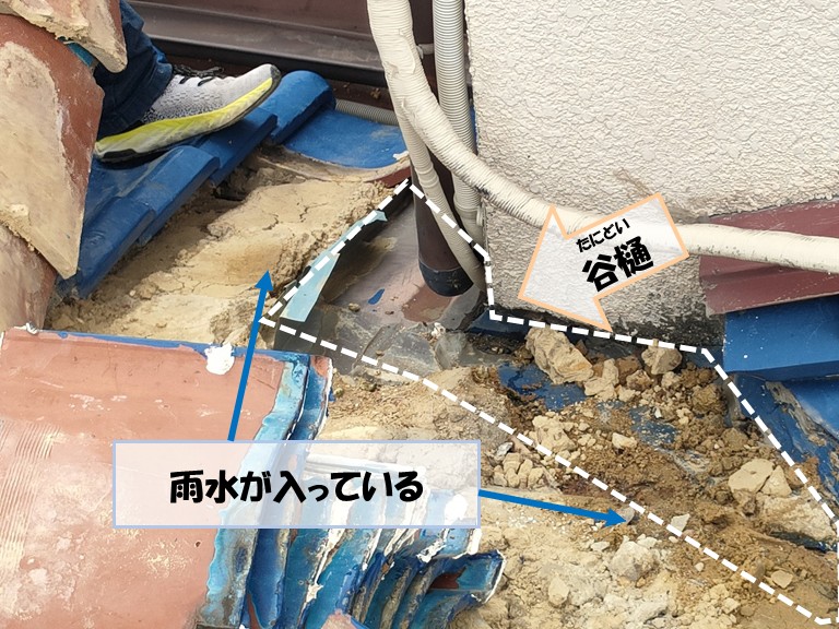 阪南市　雨水が入っている・谷樋